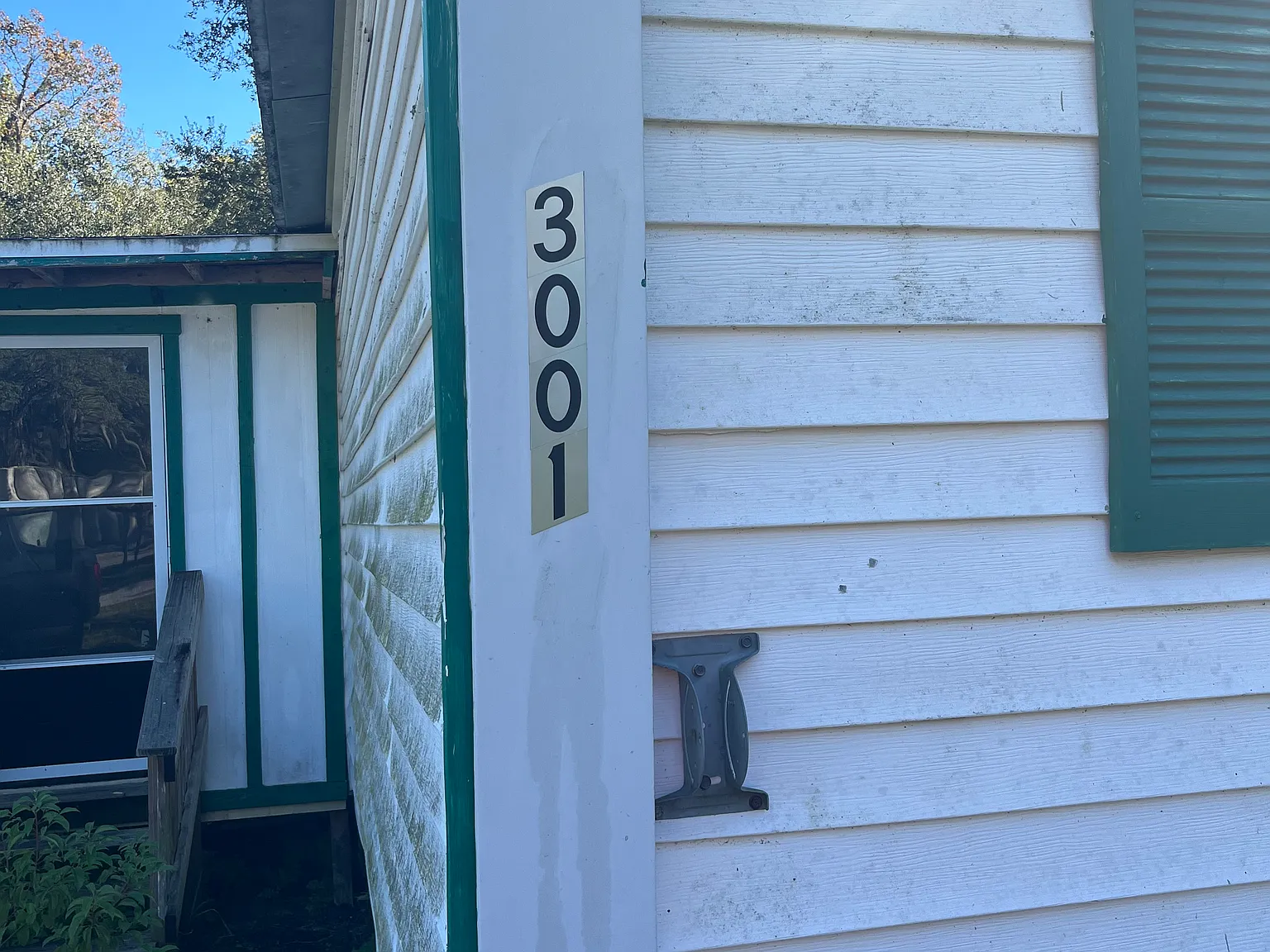 Photo of 3001 Daisy Mae